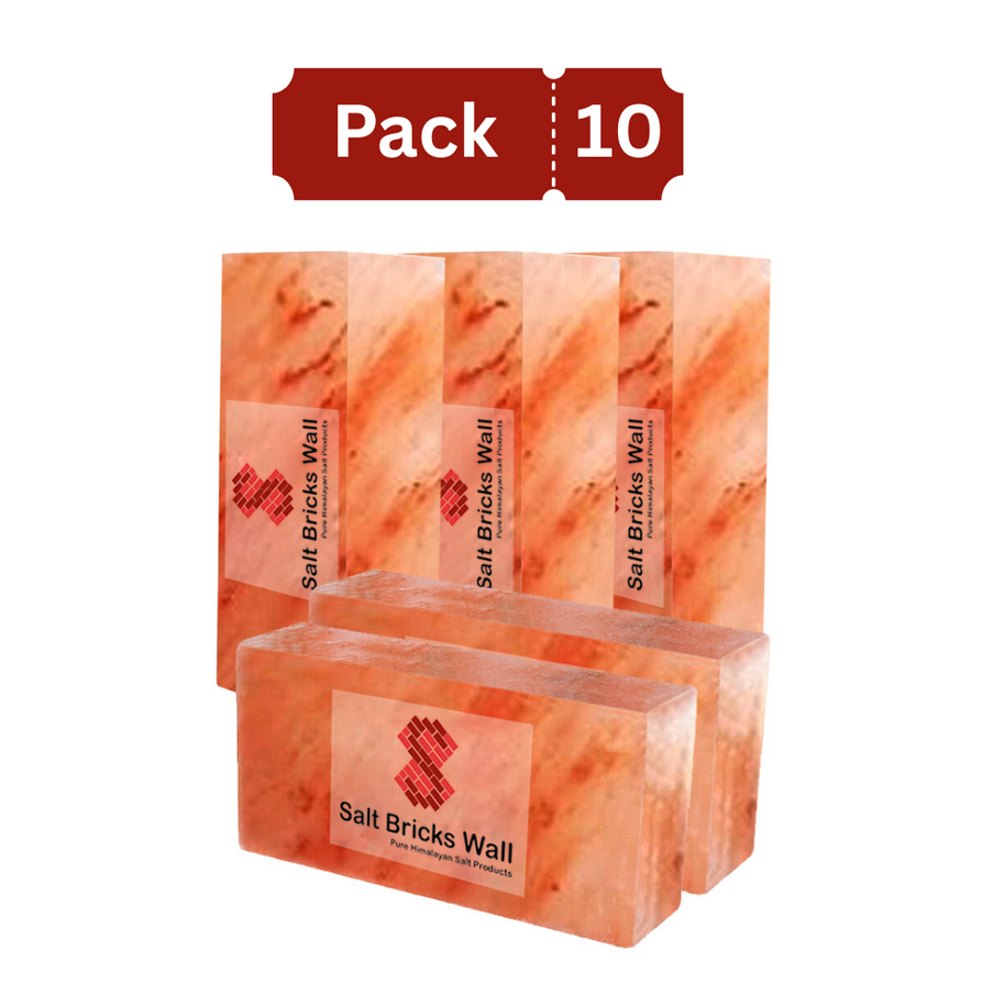 Salt Bricks for Salt Wall