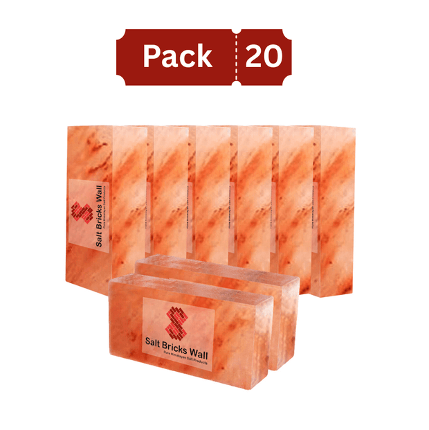 Salt Bricks for Salt Wall