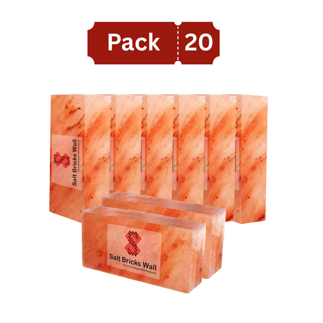 Salt Bricks for Salt Wall