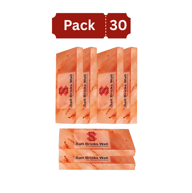 Salt Tiles for Salt Wall