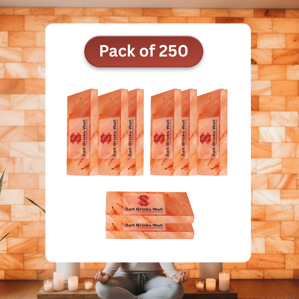 Salt Tiles for Salt Wall