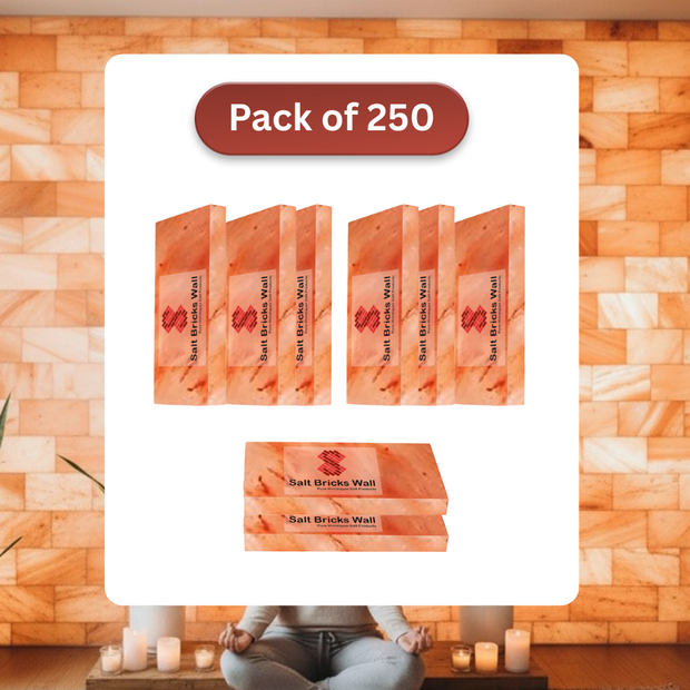 Salt Tiles for Salt Wall