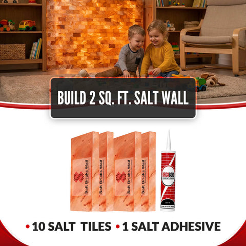 Build 2 Sq. Ft. Salt Wall 10 Bricks 1 Salt Adhesive
