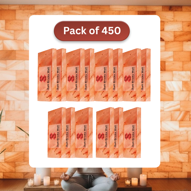 Salt Tiles for Salt Wall