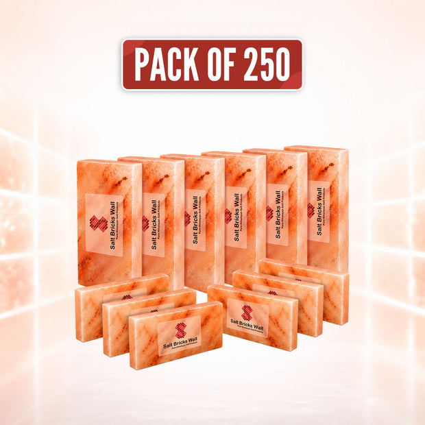 Himalayan Pink Salt Tiles 8x4x1 – 250 Pack for Spa & Salt Wall