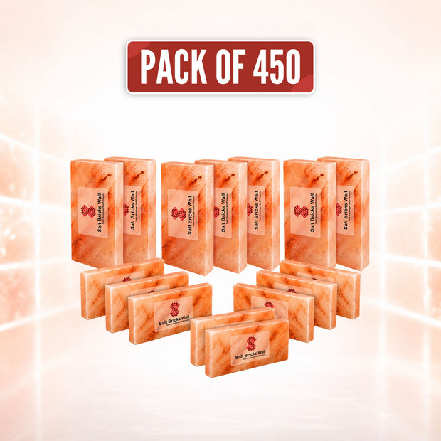 Pink Salt Bricks 8x4x1 – 450 Pack for Salt Wall & Spa