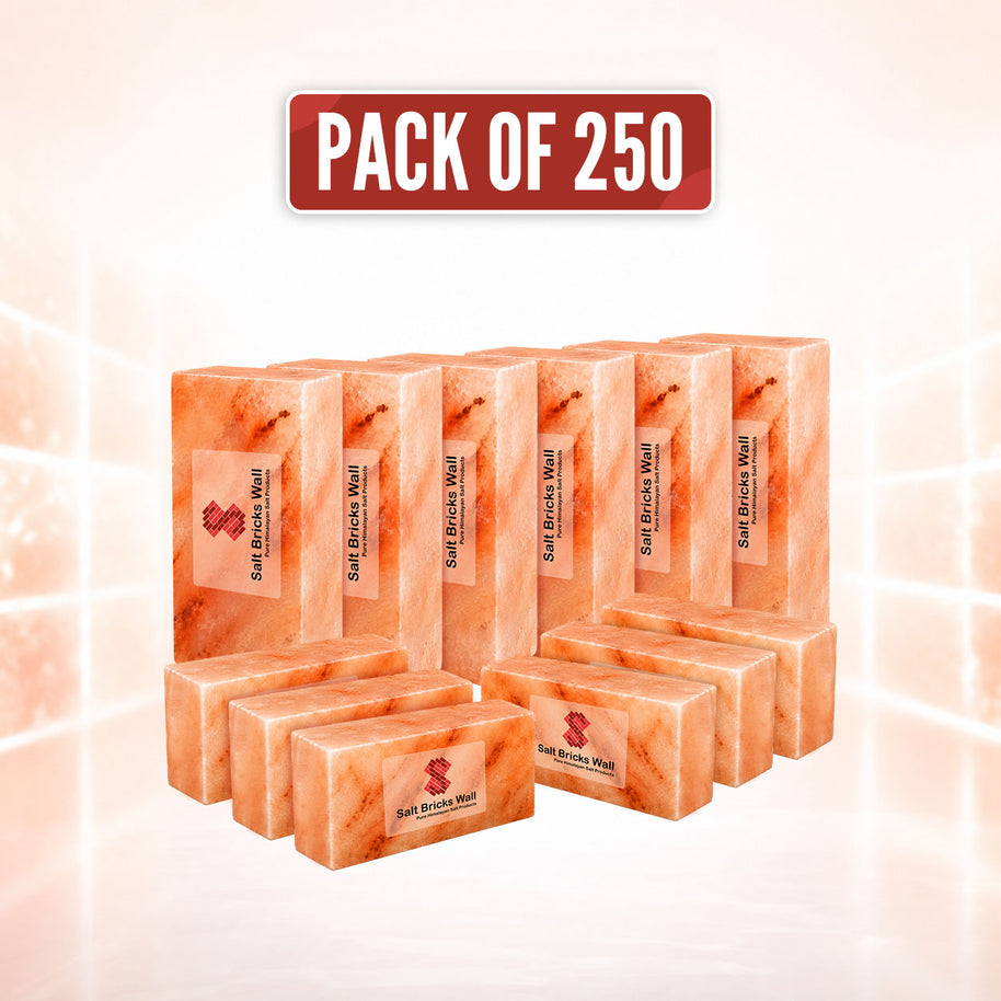 Himalayan Salt Bricks for Spa 8x4x2 – Pack of 250 for spa and sauna salt walls