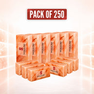Himalayan Salt Bricks for Spa 8x4x2 – Pack of 250 for spa and sauna salt walls