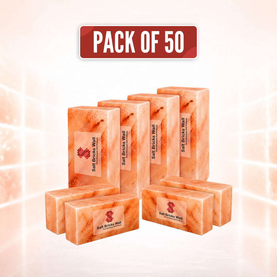 50 Himalayan Pink Salt Bricks 8x4x2 | Salt Wall & Sauna