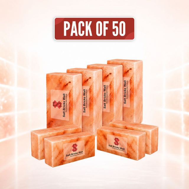 50 Himalayan Pink Salt Bricks 8x4x2 | Salt Wall & Sauna