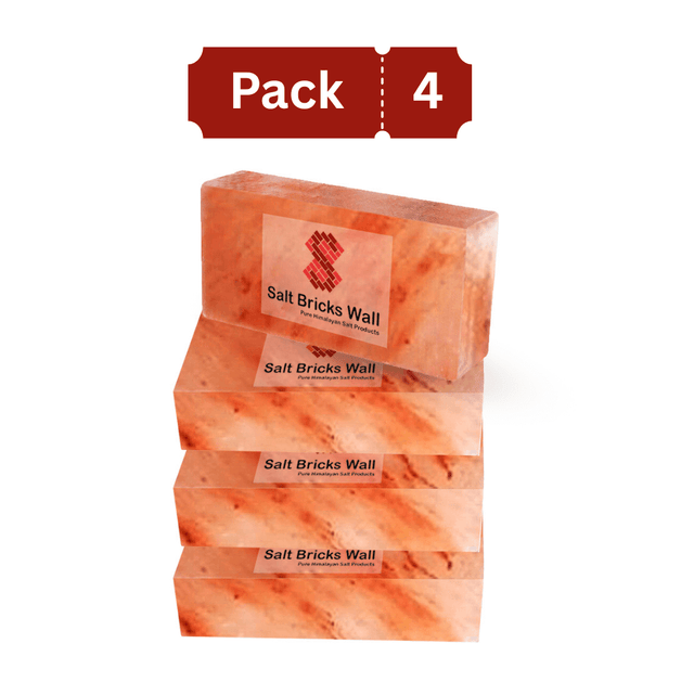 Salt Brick for Salt Wall