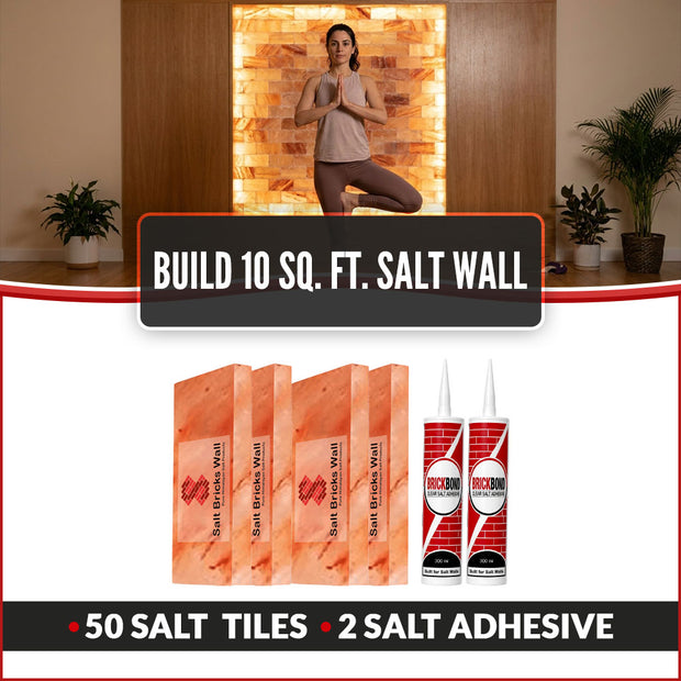 Build 10 Sq. Ft. Salt Wall 50 Bricks 2 Salt Adhesive