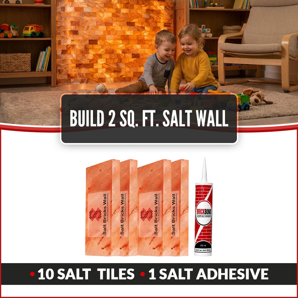 Build 2 Sq. Ft. Salt Wall 10 Bricks 1 Salt Adhesive