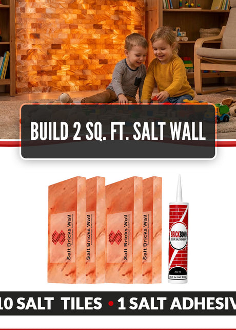 Build 2 Sq. Ft. Salt Wall 10 Bricks 1 Salt Adhesive
