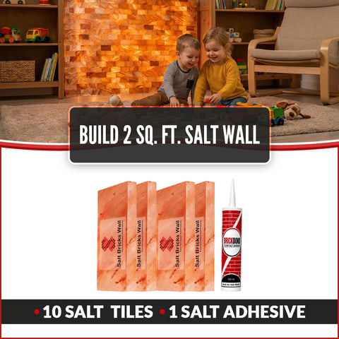 Build 2 Sq. Ft. Salt Wall 10 Bricks 1 Salt Adhesive