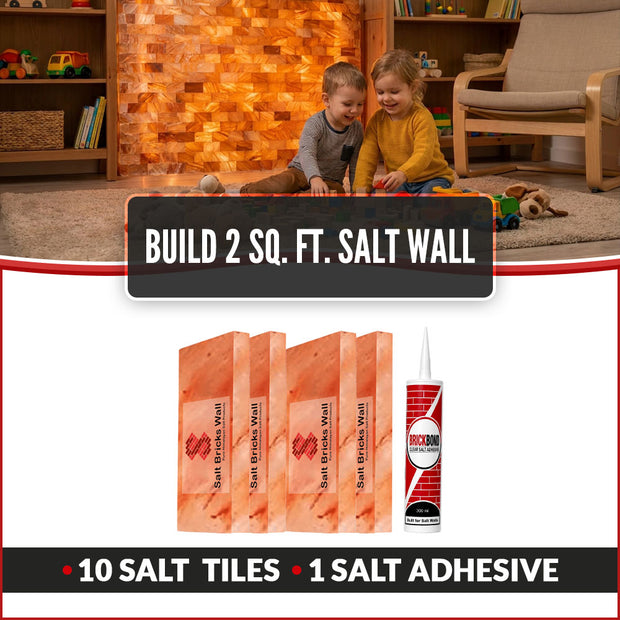 Build 2 Sq. Ft. Salt Wall 10 Bricks 1 Salt Adhesive