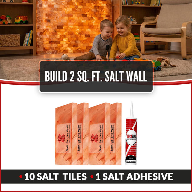 Build 2 Sq. Ft. Salt Wall 10 Bricks 1 Salt Adhesive
