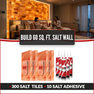 Build 60 Sq. Ft. Salt Wall 300 Bricks 10 Salt Adhesive