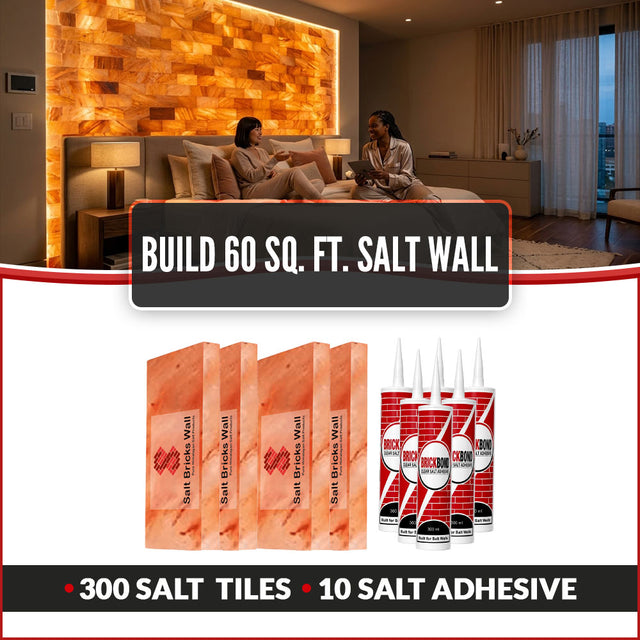 Build 60 Sq. Ft. Salt Wall 300 Bricks 10 Salt Adhesive