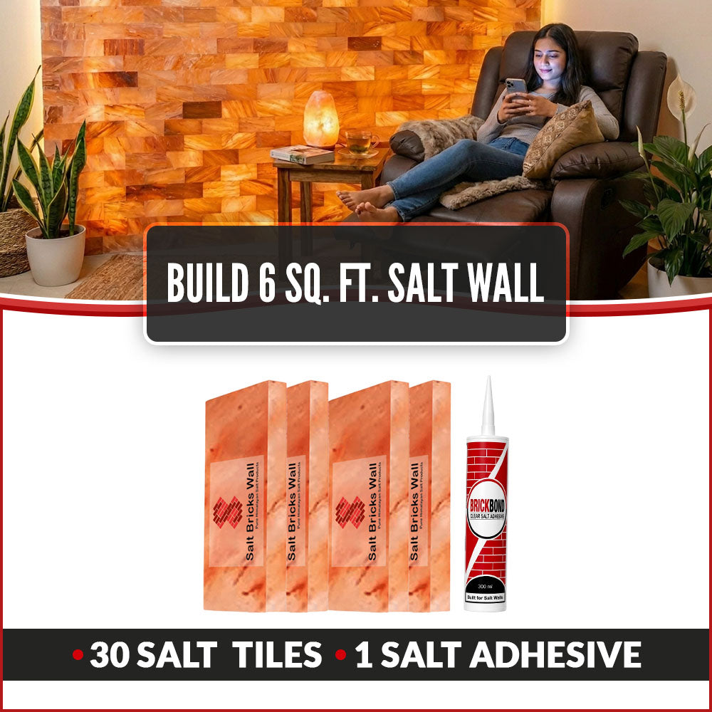 Build Salt Wall 6 sq ft salt wall bricks and salt adhesive