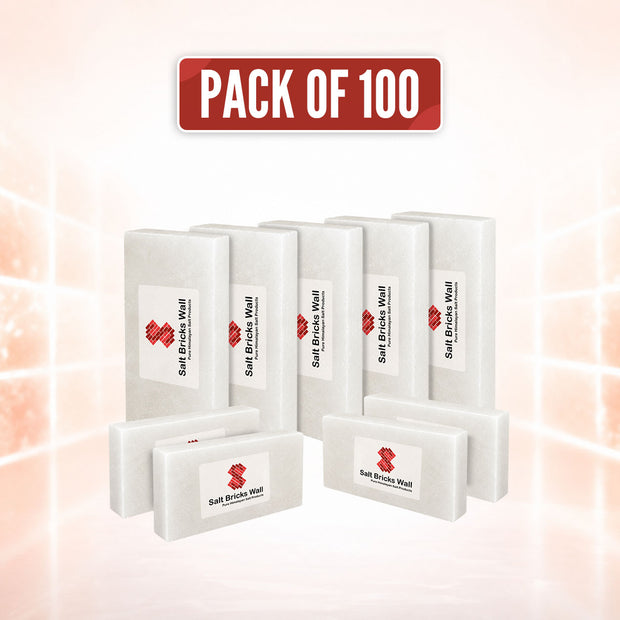 White Salt Bricks (8x4x1) Pack of 100 – Natural Salt Wall Bricks